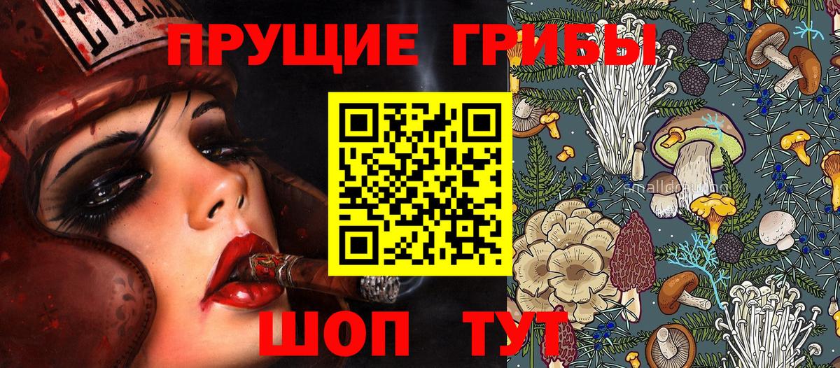 Псилоцибиновые грибы GOLDEN TEACHER  Вход с VPN  Сокол 