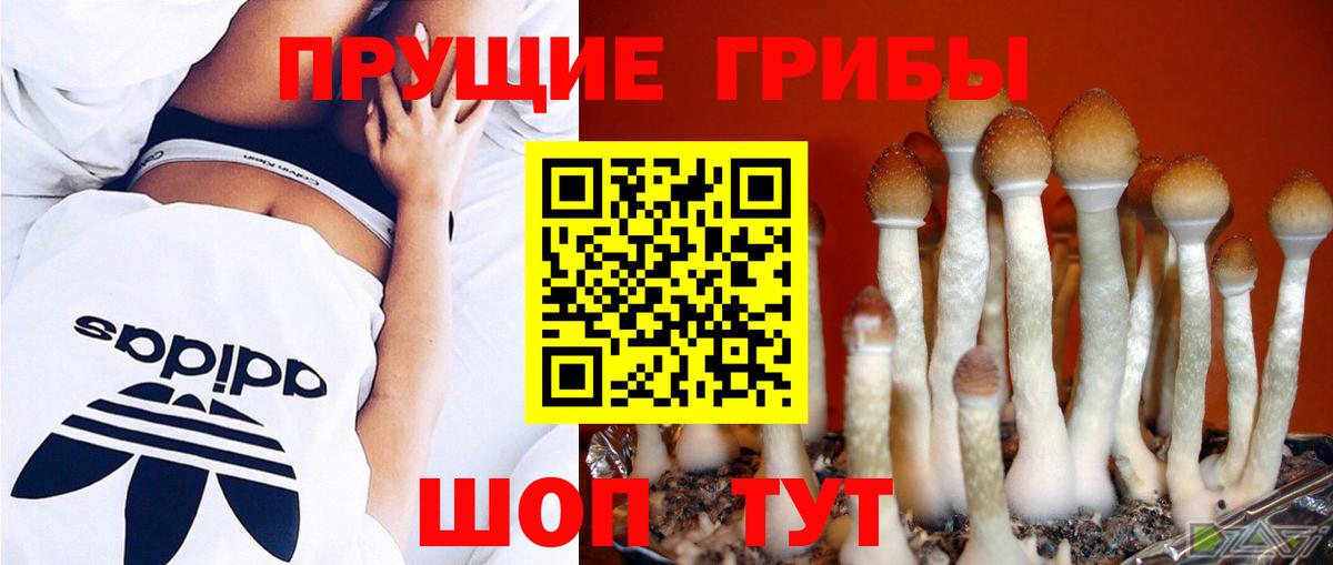 Псилоцибиновые грибы Magic Shrooms Сокол