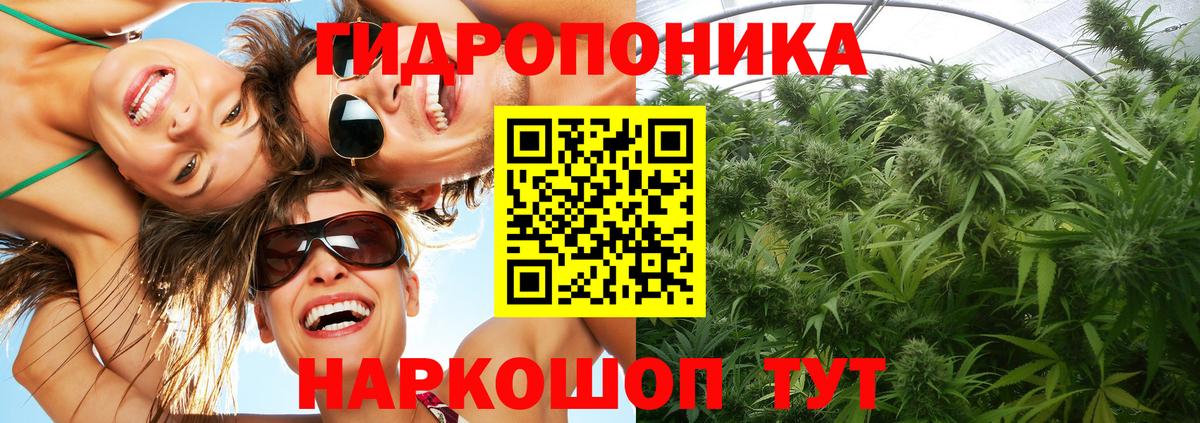 Сокол  Бошки Шишки MAZAR  МАРИХУАНА VHQ  Вход с VPN  Конопля конопля 